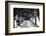 San Jose 2-John Gusky-Framed Photographic Print