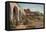 San Juan Capistrano Mission, California-American Photographer-Framed Premier Image Canvas