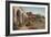 San Juan Capistrano Mission, California-American Photographer-Framed Photographic Print