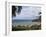 San Juan Del Sur Bay, Pacific Ocean, San Juan Del Sur, Nicaragua, Central America-Wendy Connett-Framed Photographic Print