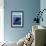 San Juan Island, Washington - Orca and Calf-Lantern Press-Framed Premium Giclee Print displayed on a wall
