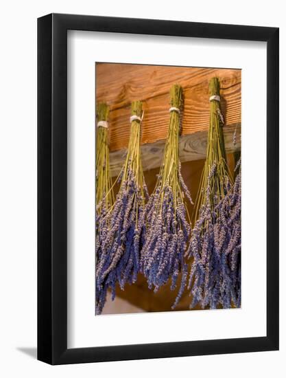 San Juan Island, Washington State, USA. Lavender hung to dry.-Janet Horton-Framed Photographic Print