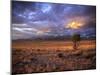 San Juan Mountains, Great Sand Dunes National Park, Co-Ryan Wright-Mounted Photographic Print