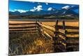 Photographic Print