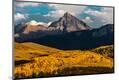 Premium Photographic Print