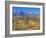 San Juan Mountains, Uncompahgre National Forest, Colorado, USA-Rob Tilley-Framed Photographic Print