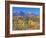 San Juan Mountains, Uncompahgre National Forest, Colorado, USA-Rob Tilley-Framed Photographic Print