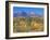 San Juan Mountains, Uncompahgre National Forest, Colorado, USA-Rob Tilley-Framed Photographic Print