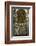 San Lorenzo Cathedral, Genoa, Liguria, Italy, Europe-Yadid Levy-Framed Photographic Print