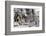 San Lorenzo Cathedral, Genoa, Liguria, Italy, Europe-Yadid Levy-Framed Photographic Print