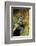 San Lucas Marsupial Frog, Andes, Ecuador-Pete Oxford-Framed Photographic Print