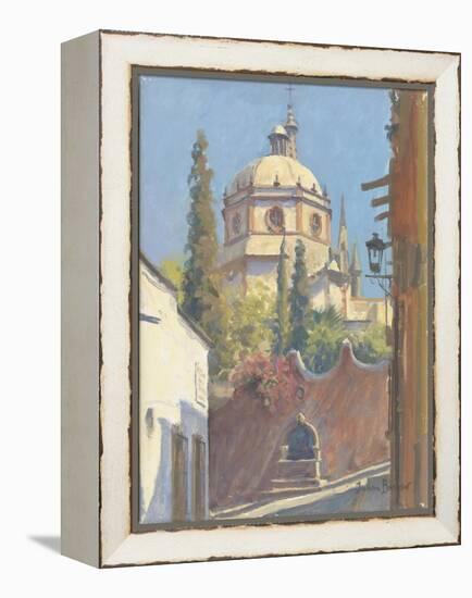 San Miguel Allende, 2005-Julian Barrow-Framed Premier Image Canvas