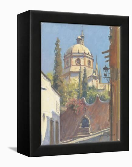 San Miguel Allende, 2005-Julian Barrow-Framed Premier Image Canvas