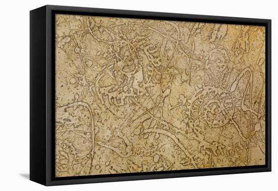 San Miguel Fossils II-Kathy Mahan-Framed Premier Image Canvas