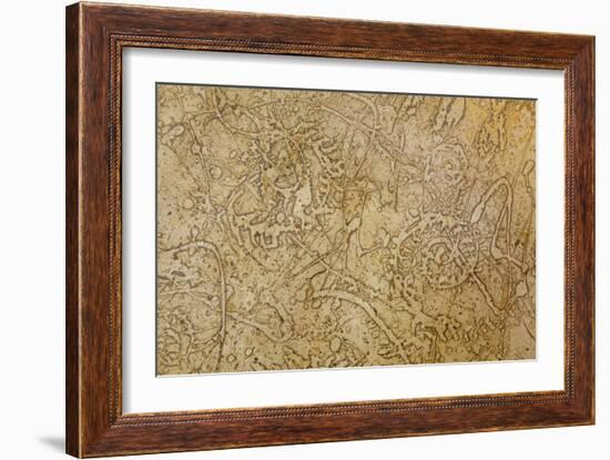 San Miguel Fossils II-Kathy Mahan-Framed Photographic Print