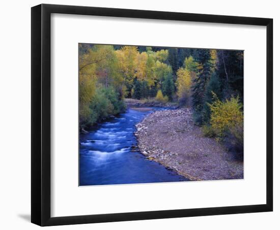 San Miguel River and Aspens in Autumn, Colorado, USA-Julie Eggers-Framed Premium Photographic Print