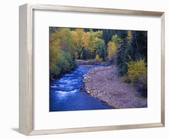 San Miguel River and Aspens in Autumn, Colorado, USA-Julie Eggers-Framed Premium Photographic Print