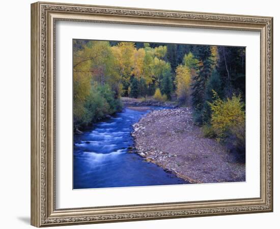 San Miguel River and Aspens in Autumn, Colorado, USA-Julie Eggers-Framed Photographic Print