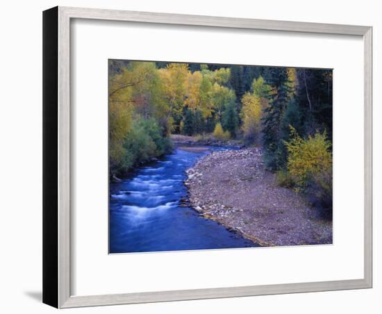 San Miguel River and Aspens in Autumn, Colorado, USA-Julie Eggers-Framed Photographic Print