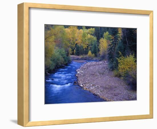 San Miguel River and Aspens in Autumn, Colorado, USA-Julie Eggers-Framed Photographic Print