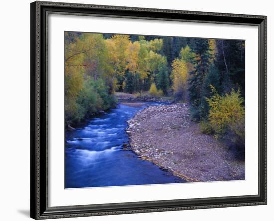 San Miguel River and Aspens in Autumn, Colorado, USA-Julie Eggers-Framed Photographic Print