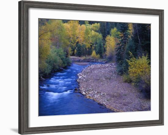 San Miguel River and Aspens in Autumn, Colorado, USA-Julie Eggers-Framed Photographic Print