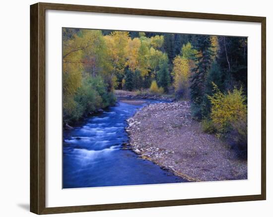 San Miguel River and Aspens in Autumn, Colorado, USA-Julie Eggers-Framed Photographic Print