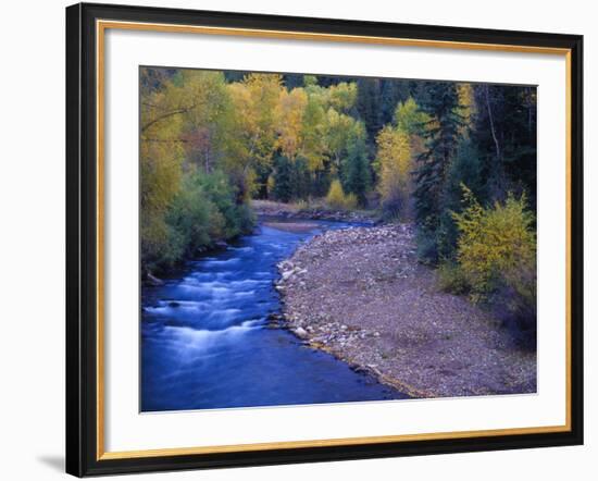 San Miguel River and Aspens in Autumn, Colorado, USA-Julie Eggers-Framed Photographic Print