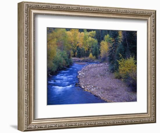 San Miguel River and Aspens in Autumn, Colorado, USA-Julie Eggers-Framed Photographic Print