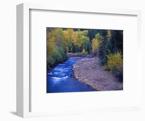 San Miguel River and Aspens in Autumn, Colorado, USA-Julie Eggers-Framed Photographic Print