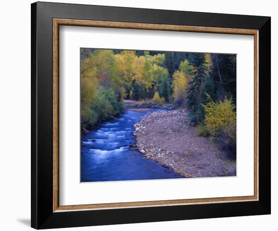 San Miguel River and Aspens in Autumn, Colorado, USA-Julie Eggers-Framed Photographic Print