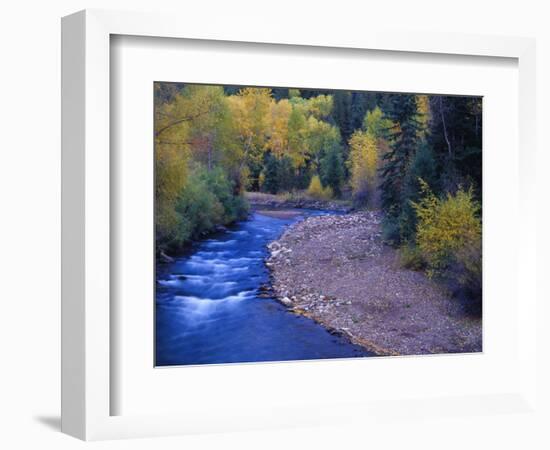 San Miguel River and Aspens in Autumn, Colorado, USA-Julie Eggers-Framed Photographic Print