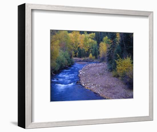 San Miguel River and Aspens in Autumn, Colorado, USA-Julie Eggers-Framed Photographic Print