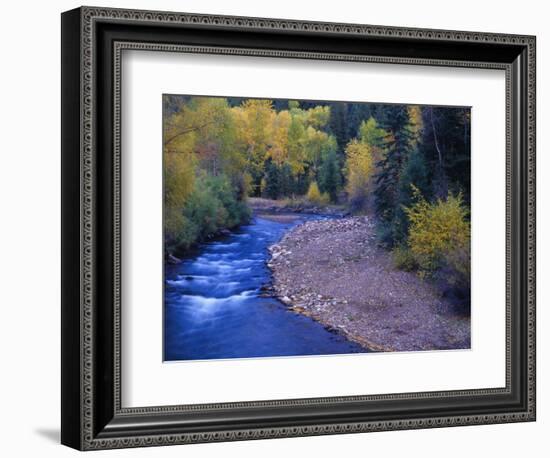 San Miguel River and Aspens in Autumn, Colorado, USA-Julie Eggers-Framed Photographic Print