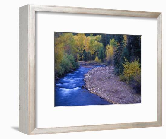 San Miguel River and Aspens in Autumn, Colorado, USA-Julie Eggers-Framed Photographic Print