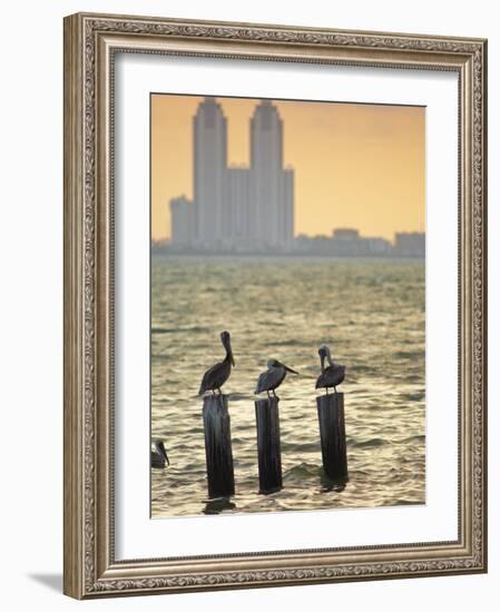 San Padre Island, Texas, United States of America, North America-Michael DeFreitas-Framed Photographic Print