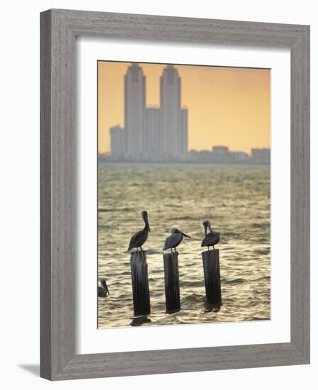 San Padre Island, Texas, United States of America, North America-Michael DeFreitas-Framed Photographic Print