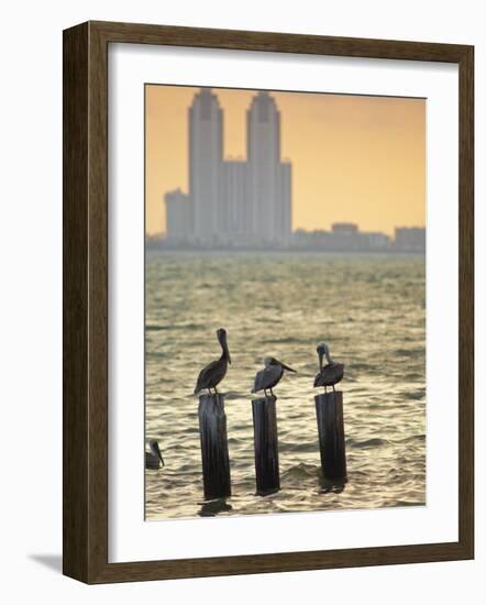 San Padre Island, Texas, United States of America, North America-Michael DeFreitas-Framed Photographic Print