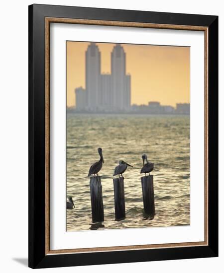 San Padre Island, Texas, United States of America, North America-Michael DeFreitas-Framed Photographic Print