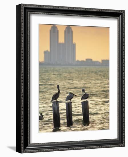 San Padre Island, Texas, United States of America, North America-Michael DeFreitas-Framed Photographic Print