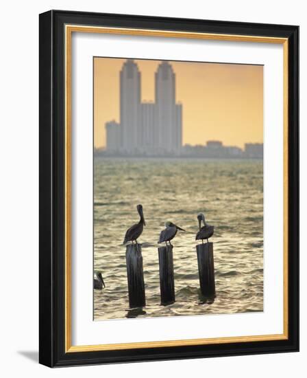 San Padre Island, Texas, United States of America, North America-Michael DeFreitas-Framed Photographic Print