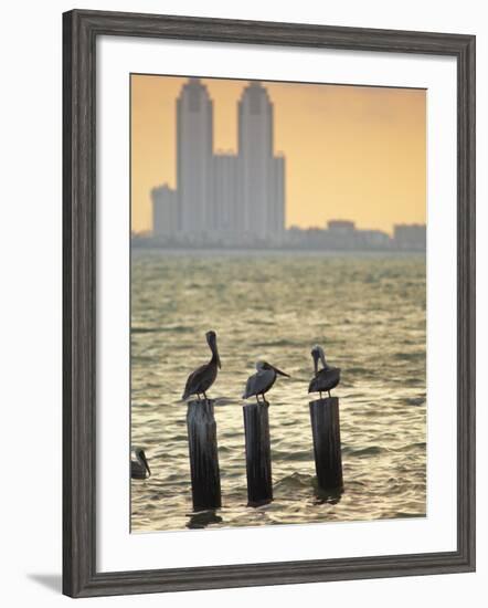 San Padre Island, Texas, United States of America, North America-Michael DeFreitas-Framed Photographic Print