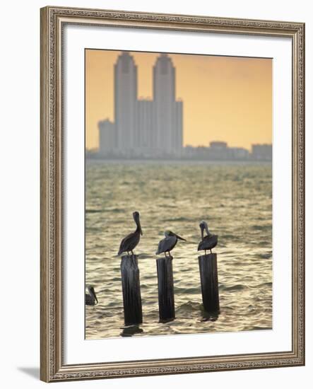 San Padre Island, Texas, United States of America, North America-Michael DeFreitas-Framed Photographic Print