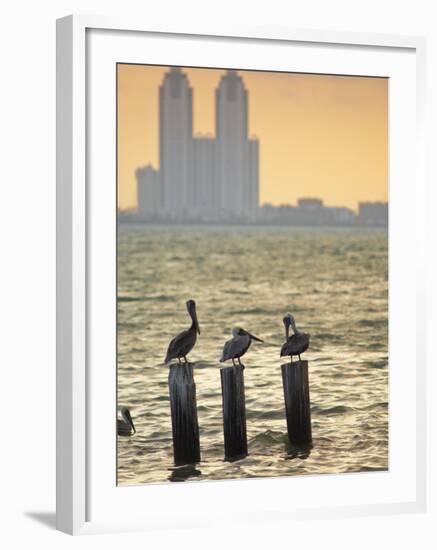 San Padre Island, Texas, United States of America, North America-Michael DeFreitas-Framed Photographic Print