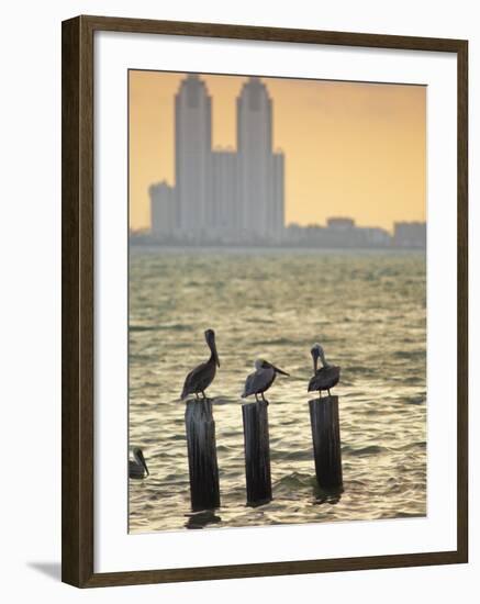 San Padre Island, Texas, United States of America, North America-Michael DeFreitas-Framed Photographic Print