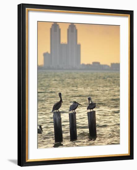 San Padre Island, Texas, United States of America, North America-Michael DeFreitas-Framed Photographic Print