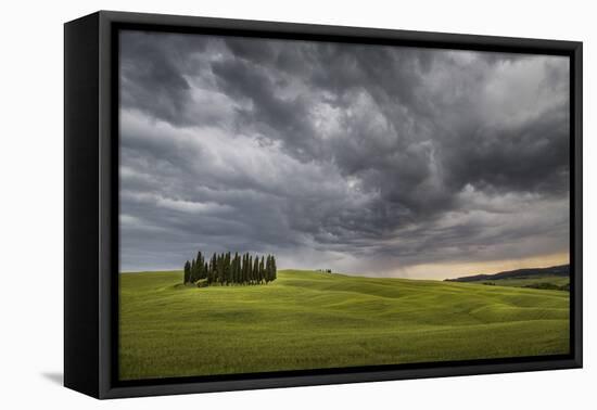 San Quirico D'Orcia, Tuscany, Italy. Cypresses and Stormy Sky.-ClickAlps-Framed Premier Image Canvas