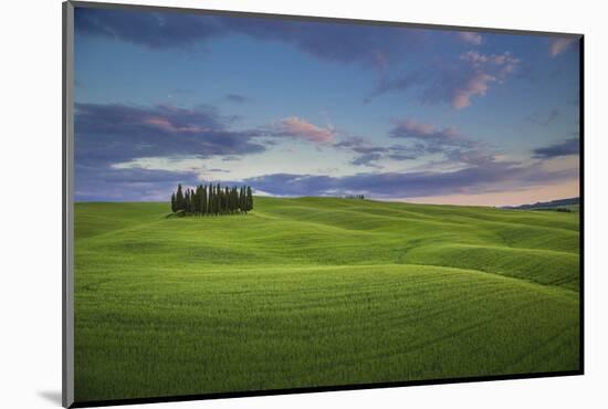 San Quirico D'Orcia, Tuscany, Italy. Cypresses at Sunset.-ClickAlps-Mounted Photographic Print