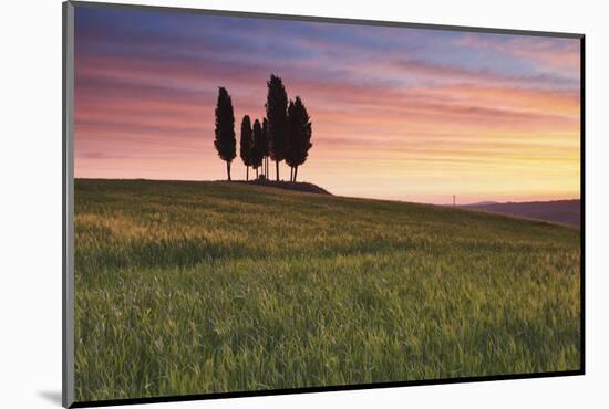 San Quirico, Orcia Valley, Tuscany, Italy. Cypresses at Sunrise-ClickAlps-Mounted Photographic Print