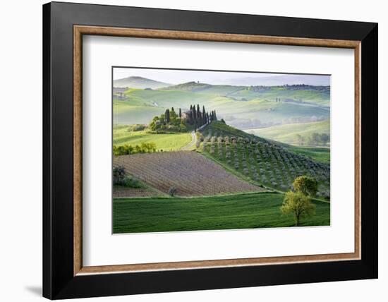 San Quirico, Val d'Orcia, Tuscany. Italy-Francesco Riccardo Iacomino-Framed Photographic Print